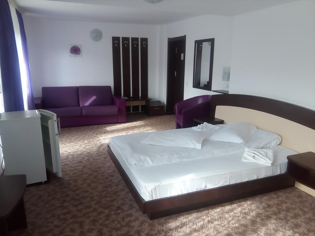Vila Alegria Buşteni Habitación foto